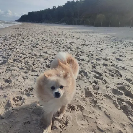 Golden Cliff Horizonpark شقة