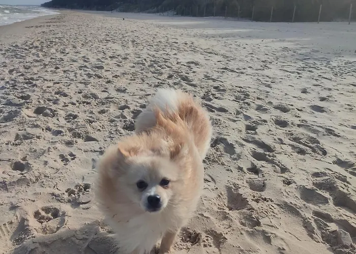 Golden Cliff Horizonpark Apartment